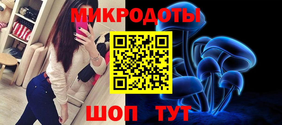 купить наркотик  Вход с VPN  Псилоцибиновые грибы мухоморы  Горно-Алтайск  Псилоцибиновые грибы прущие грибы 